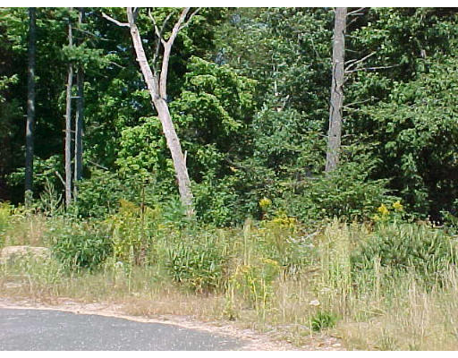 Lot 34 Draper Woods Road Sturbridge, MA 01518 - Photo 1 of 1