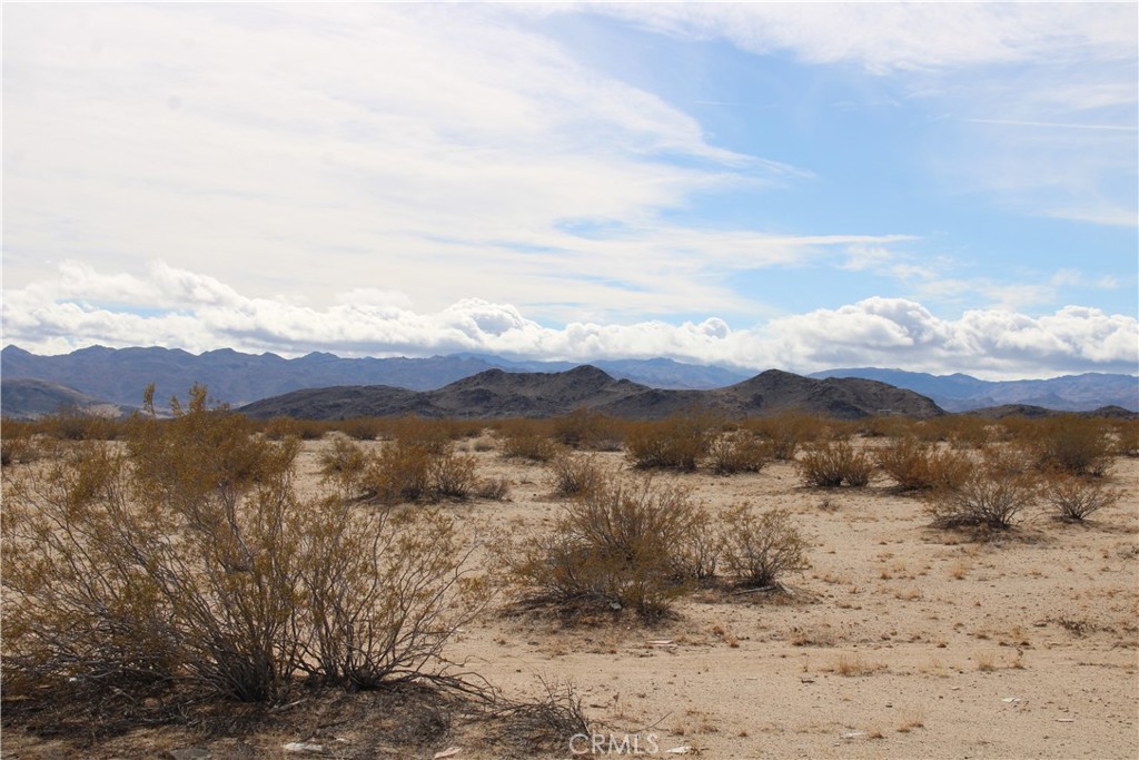 66220 Sonora Road Joshua Tree, CA 92252 - Photo 5 of 17