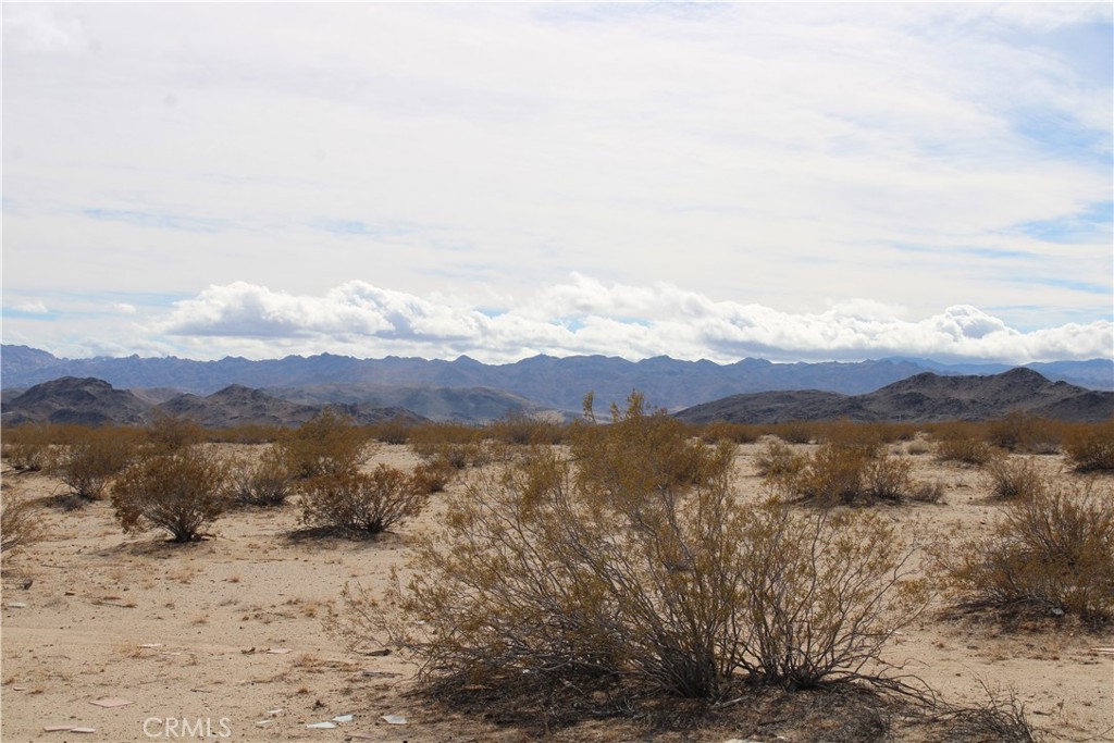 66220 Sonora Road Joshua Tree, CA 92252 - Photo 7 of 17 a view of an outdoor space with mountain view