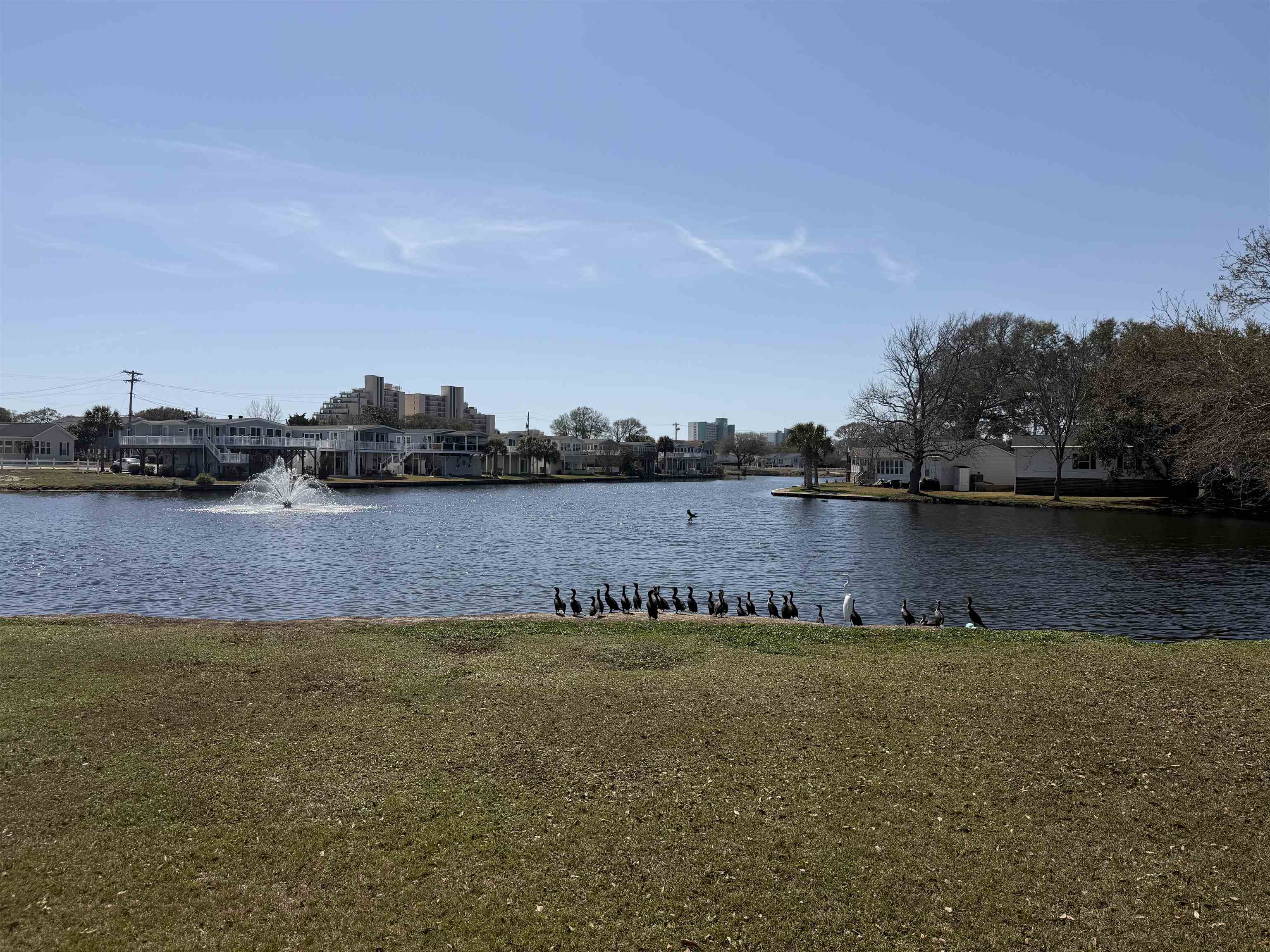1991 Finch Drive Surfside Beach, SC 29575 - Photo 42 of 51