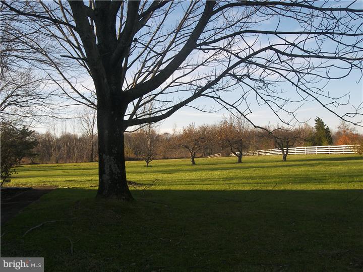 3839 Stump Road Doylestown, PA 18902 - Photo 3 of 14 Side Yard