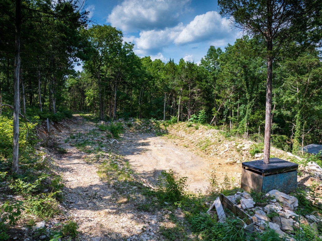 0 McElroy Road Readyville, TN 37149 - Photo 14 of 19