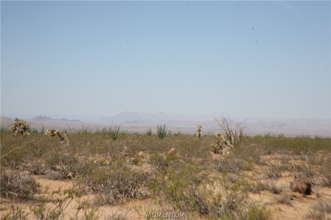 243-15-016 South Custer Road, Unit 3491 Yucca, AZ 86438 - Photo 24 of 61 Gallery Image 24