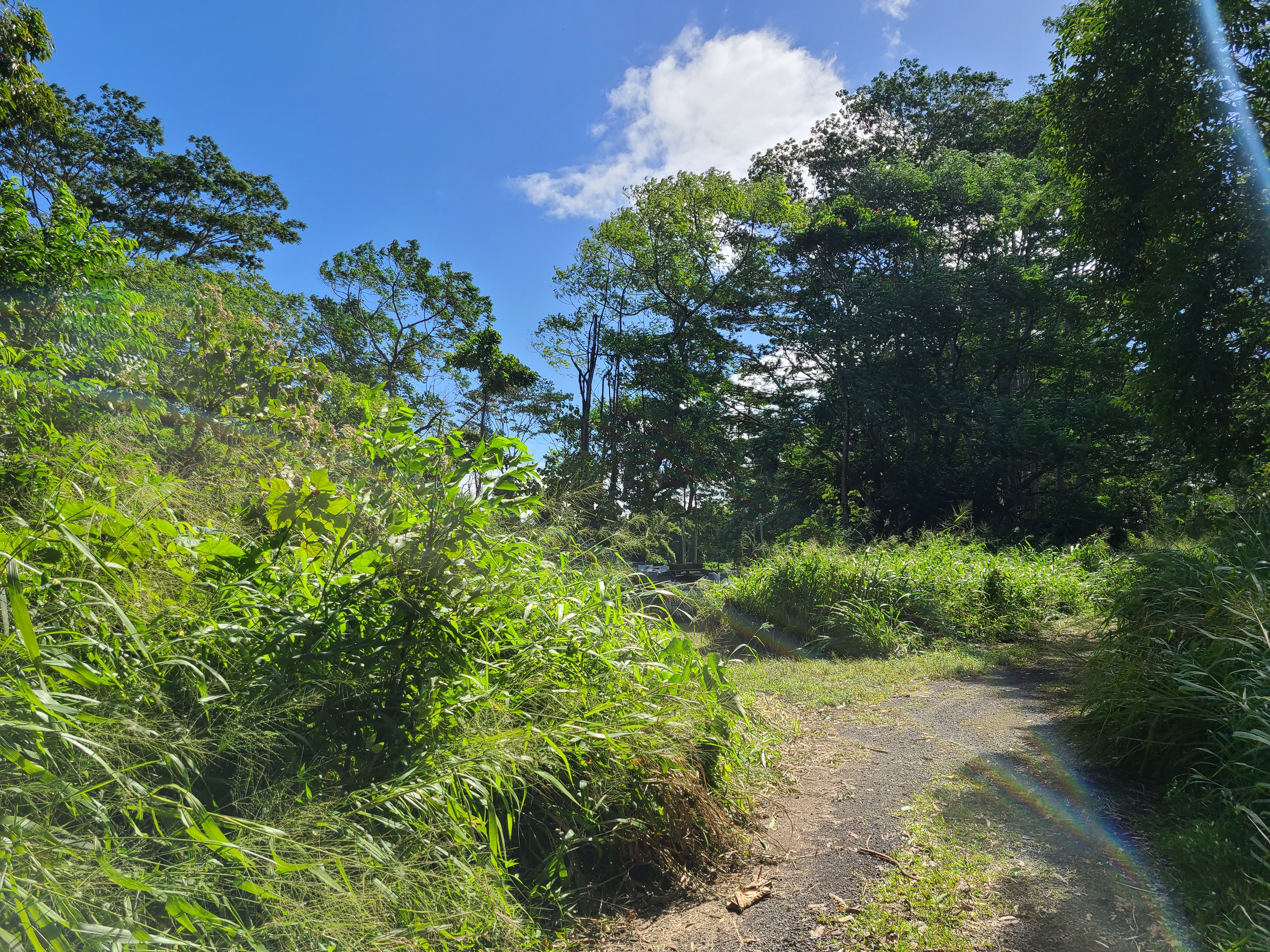 4 Lot Hilo, HI 96720 - Photo 19 of 20 a view of a garden
