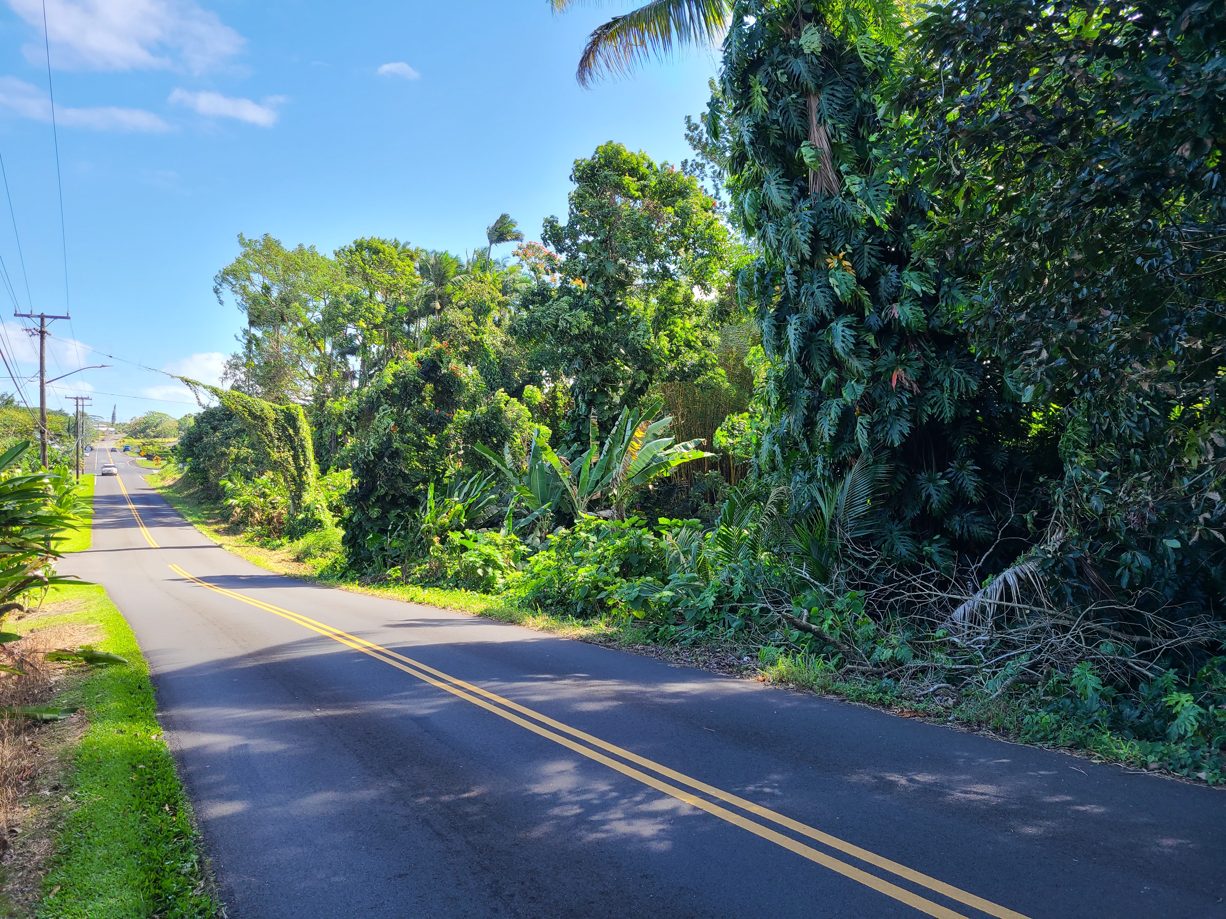 4 Lot Hilo, HI 96720 - Photo 2 of 20 a view of a yard with potted plants