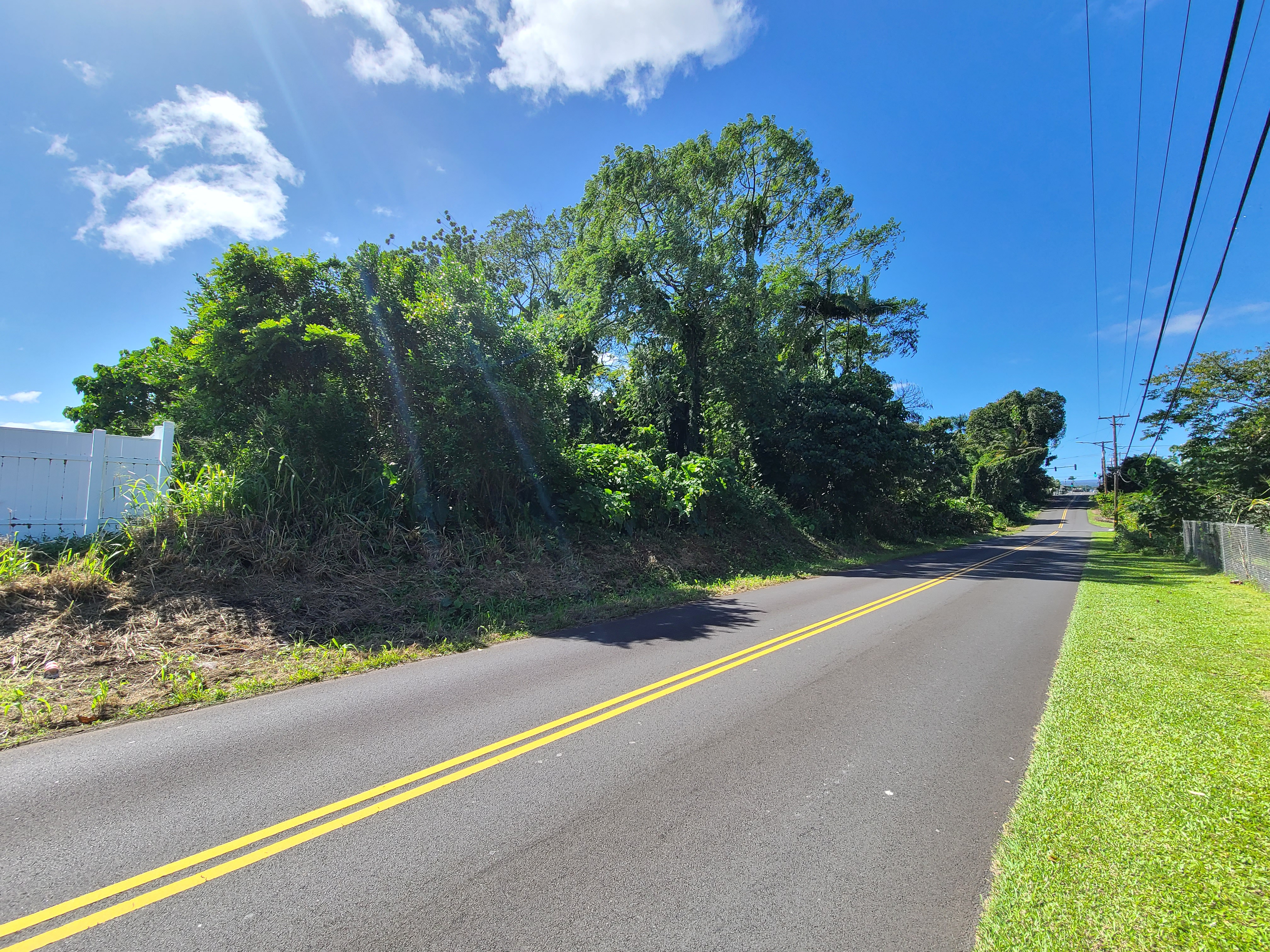 4 Lot Hilo, HI 96720 - Photo 8 of 20 a view of a yard with potted plants