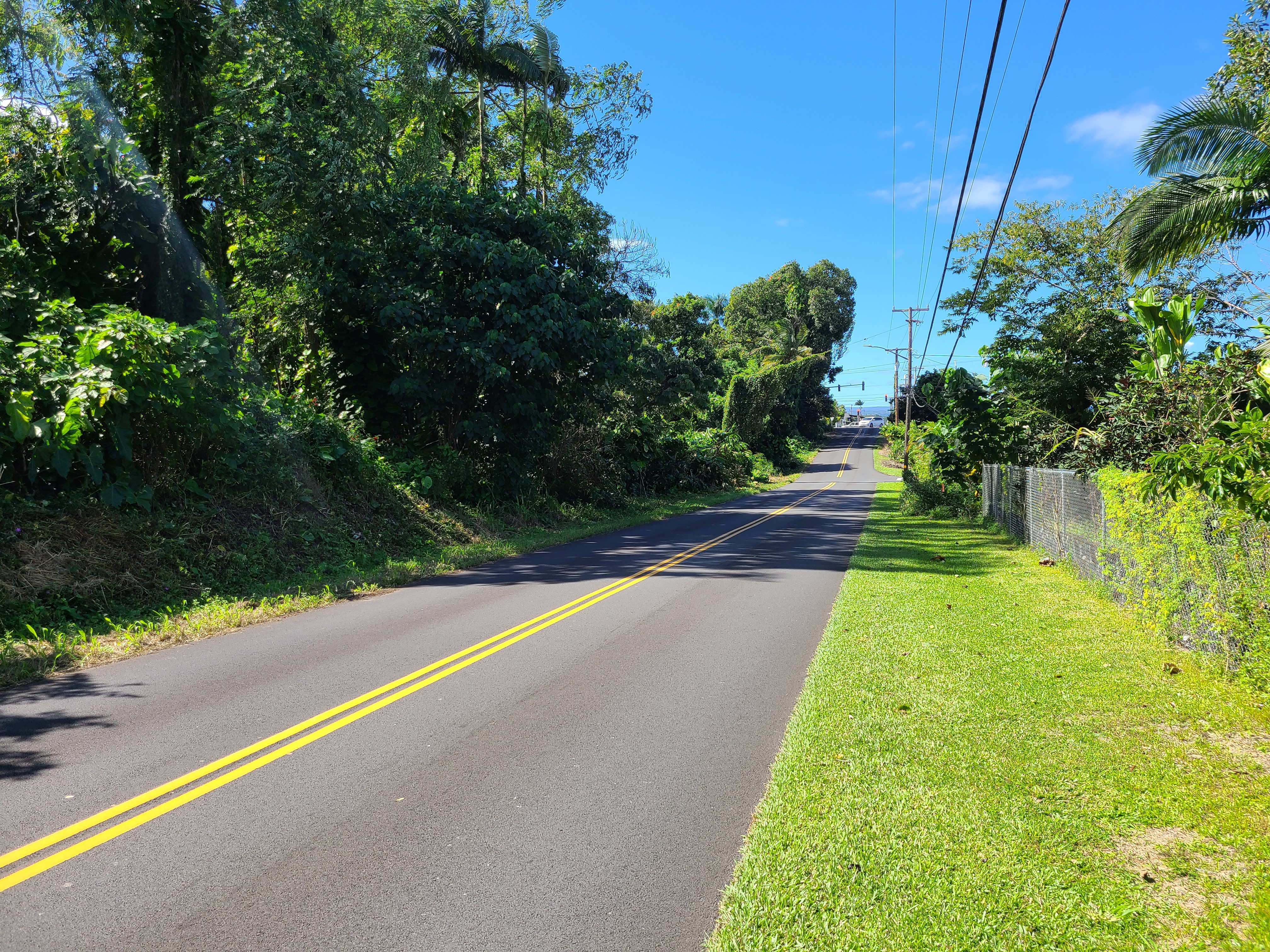 4 Lot Hilo, HI 96720 - Photo 10 of 20 a view of a yard with plants and a large tree
