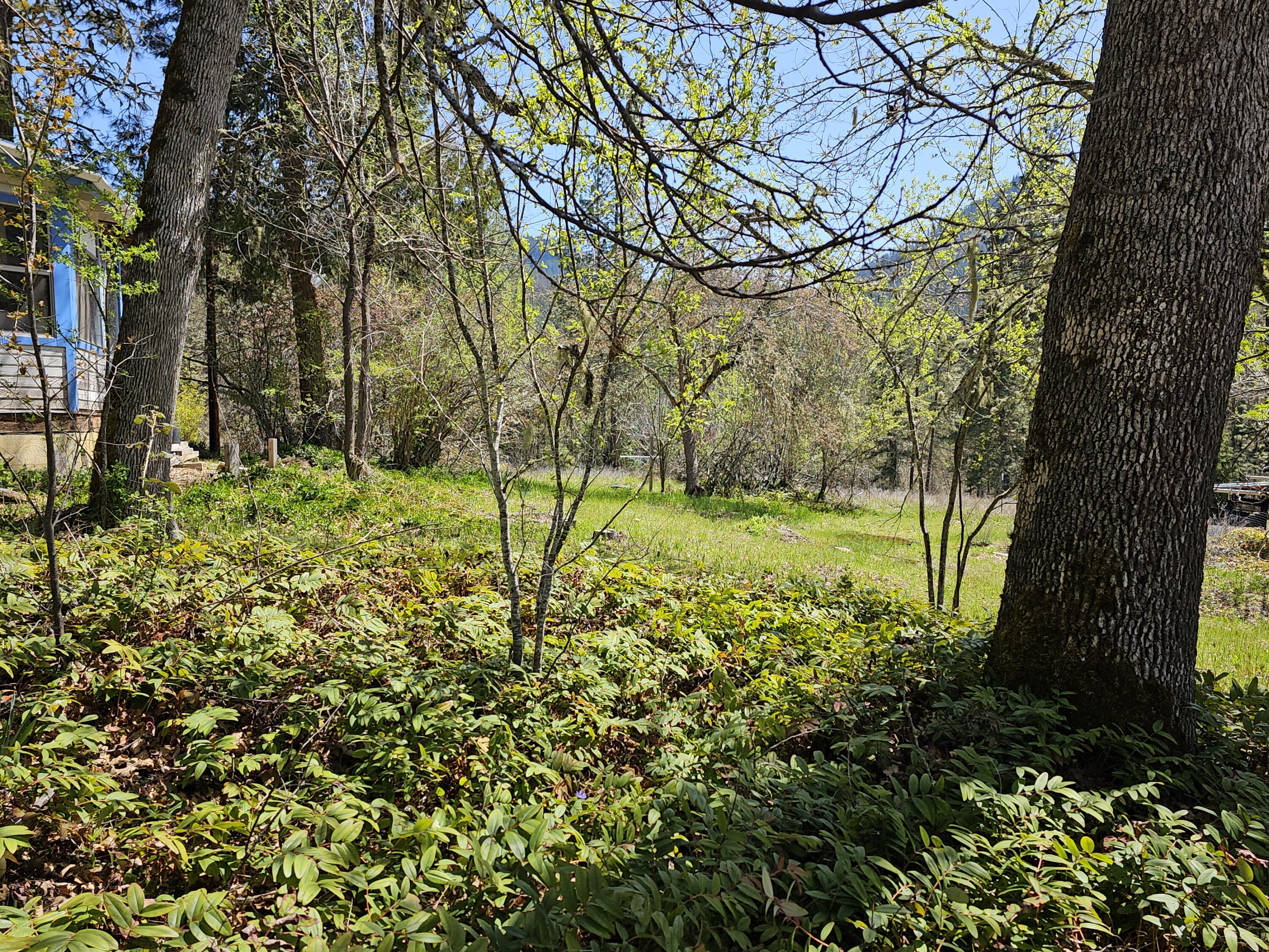 290 Star Gulch Road Jacksonville, OR 97530 - Photo 4 of 37 Top of DW at House