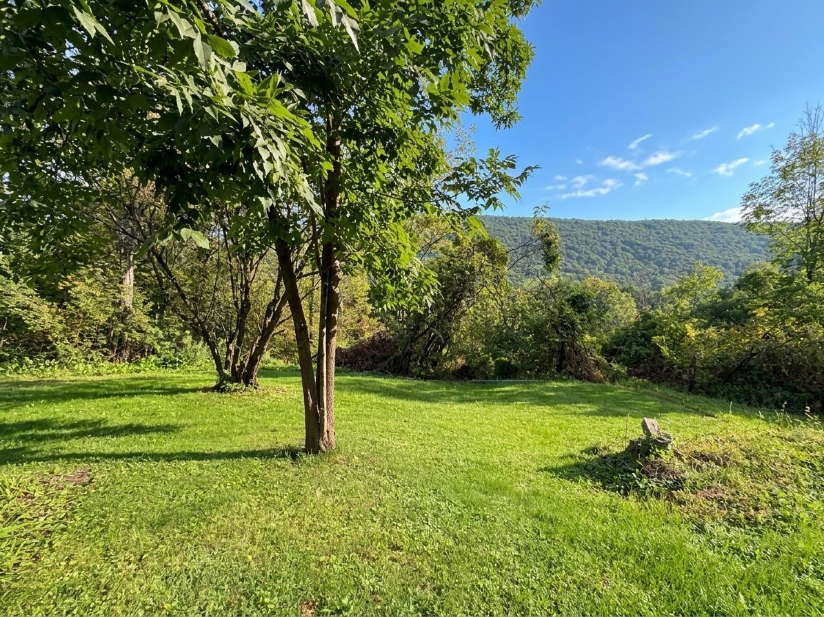 366 River Road Deposit, NY 13754 - Photo 4 of 30 Gallery Image 4