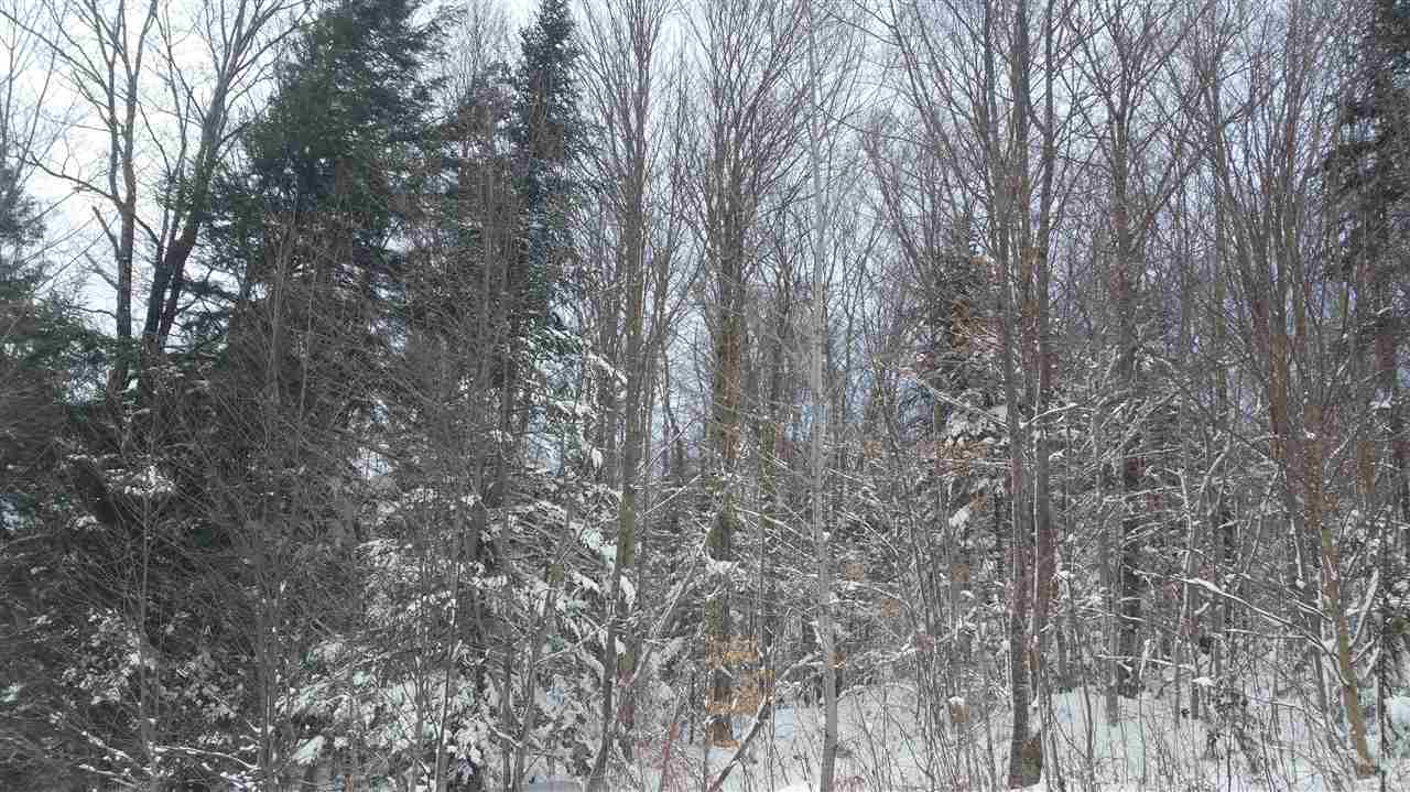 65 Bailey Hill Road Readsboro, VT 05350 - Photo 11 of 13