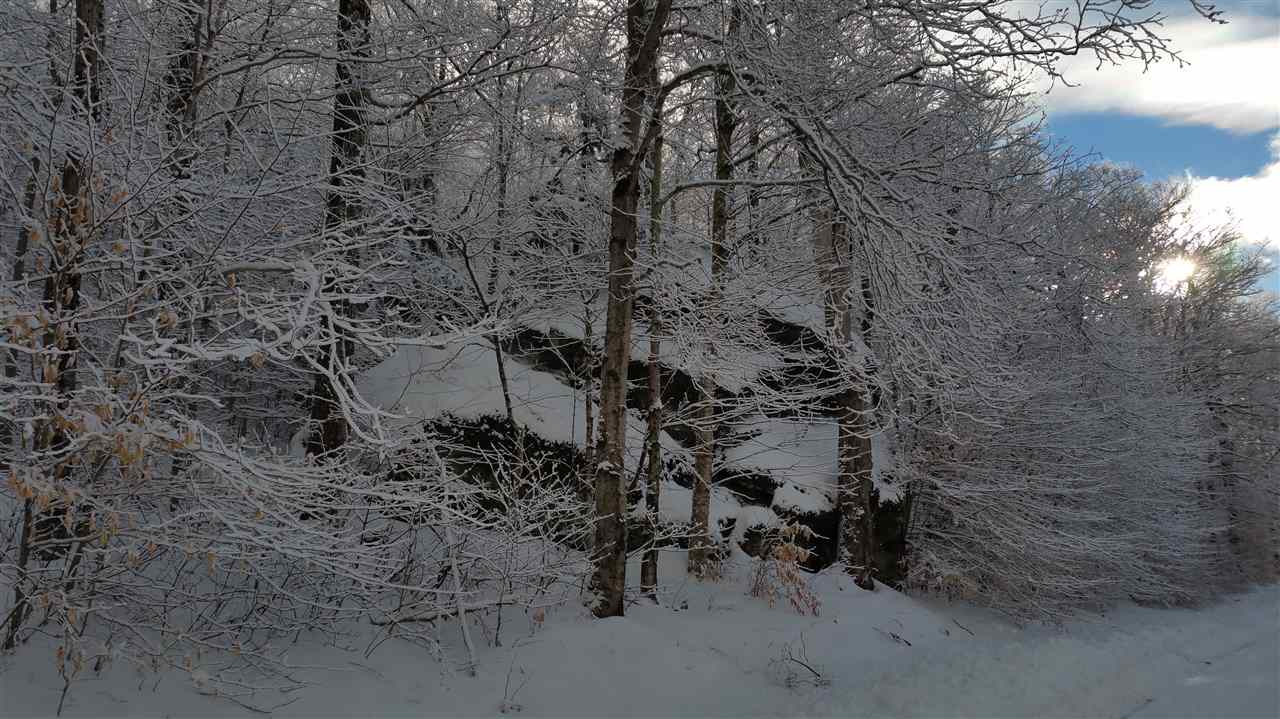 65 Bailey Hill Road Readsboro, VT 05350 - Photo 12 of 13