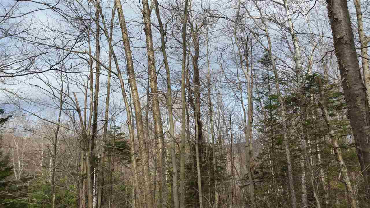 65 Bailey Hill Road Readsboro, VT 05350 - Photo 13 of 13