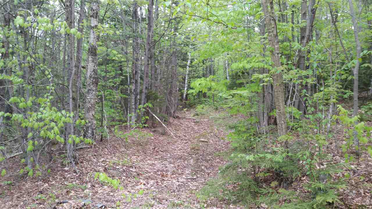 65 Bailey Hill Road Readsboro, VT 05350 - Photo 4 of 13