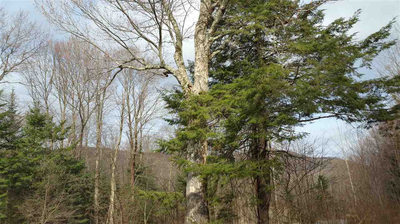65 Bailey Hill Road Readsboro, VT 05350 - Photo 6 of 13