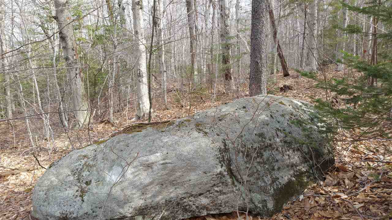 65 Bailey Hill Road Readsboro, VT 05350 - Photo 7 of 13
