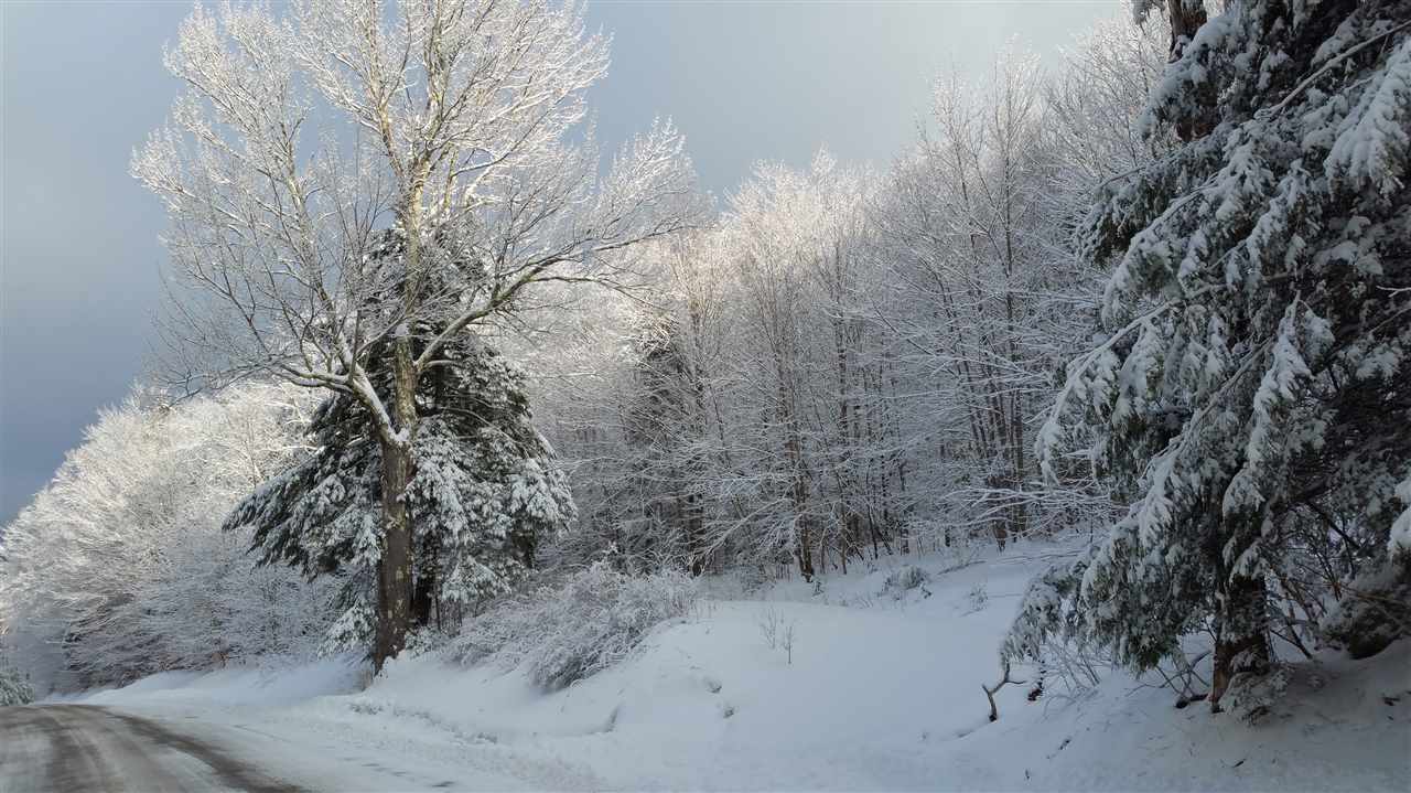 65 Bailey Hill Road Readsboro, VT 05350 - Photo 8 of 13