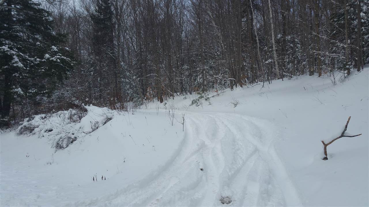 65 Bailey Hill Road Readsboro, VT 05350 - Photo 9 of 13