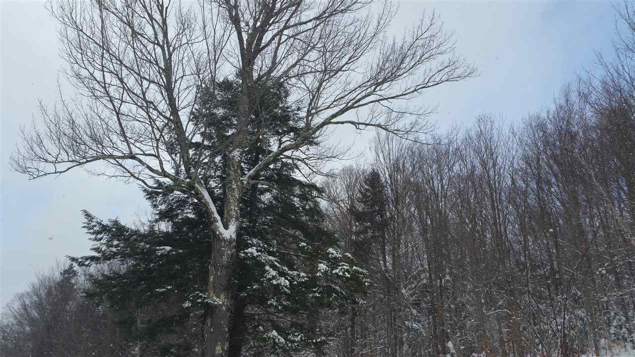65 Bailey Hill Road Readsboro, VT 05350 - Photo 10 of 13