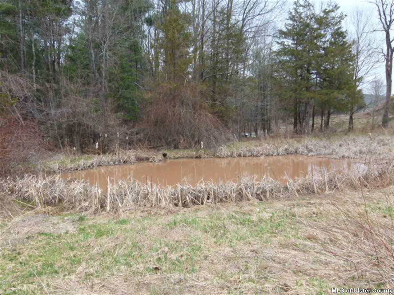 1576 North Beech Ridge Road Lexington, NY 12468 - Photo 19 of 24 Photo 20