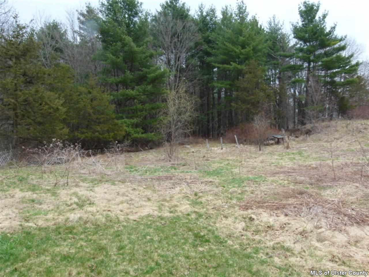 1576 North Beech Ridge Road Lexington, NY 12468 - Photo 4 of 24 Photo 4