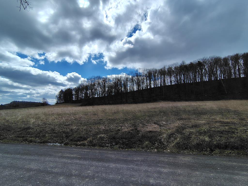 0 Maple Leaf Road Dayton, PA 16222 - Photo 21 of 58 Gallery Image 21