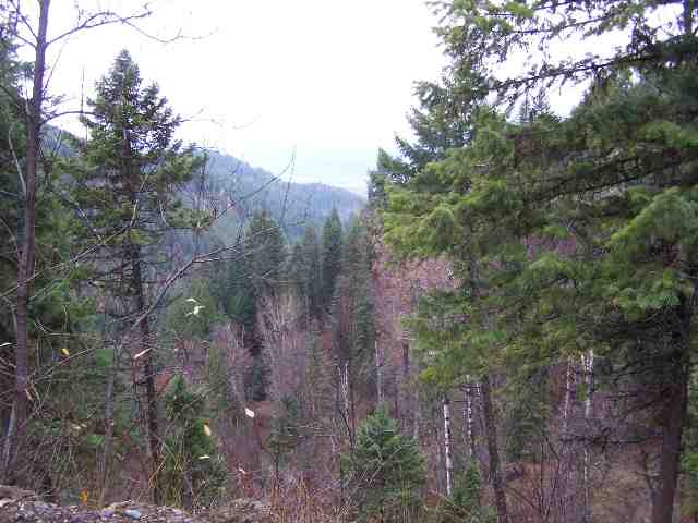 L 3-4 Sullivan Lake Road Ione, WA 99139 - Photo 1 of 3 Gallery Image 1