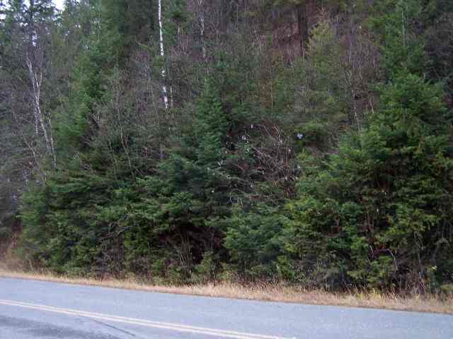 L 3-4 Sullivan Lake Road Ione, WA 99139 - Photo 3 of 3 Gallery Image 3