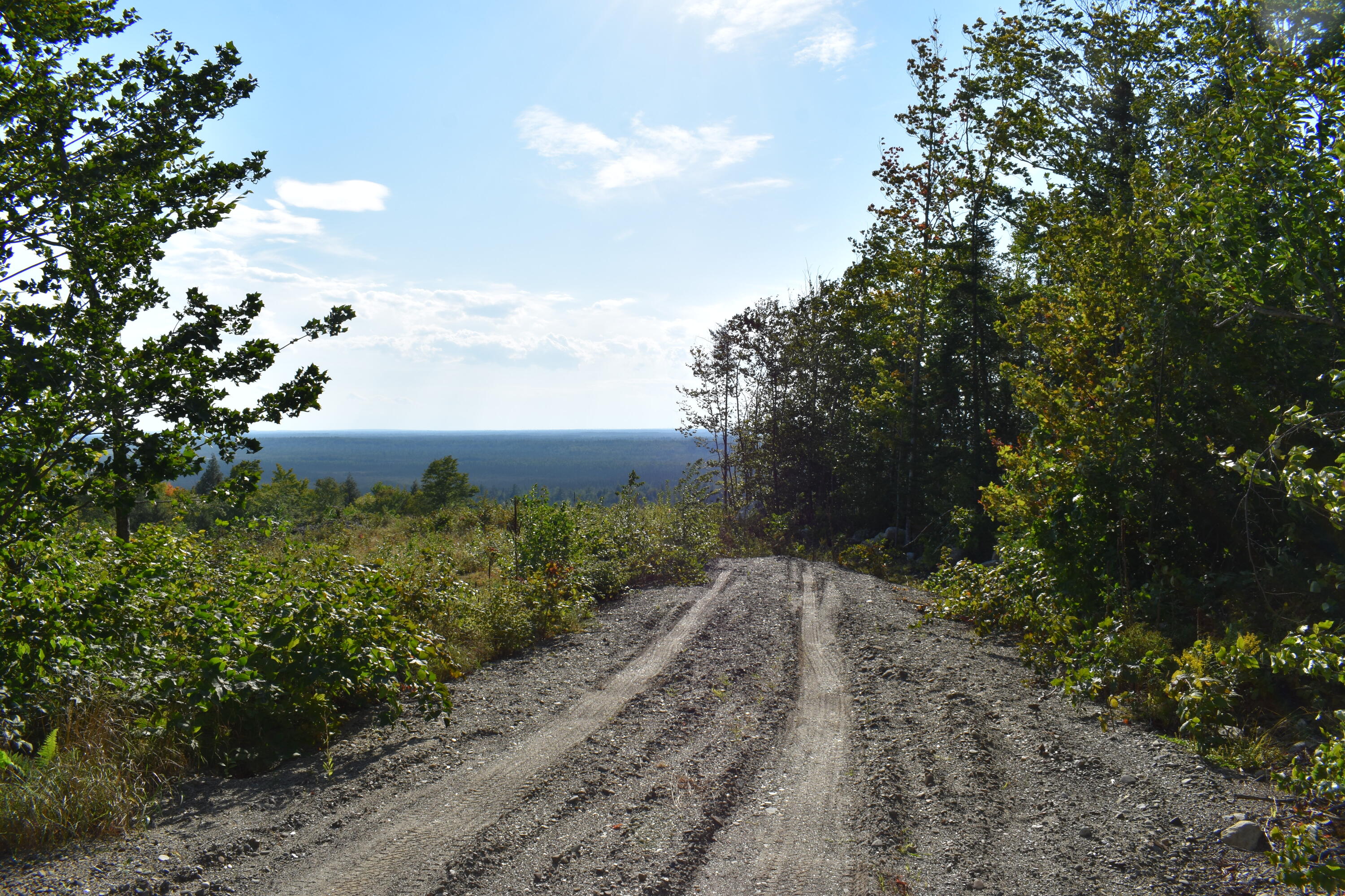 Lot 8 West Old Main Road Lowell, ME 04493 - Photo 2 of 9 DSC_0345
