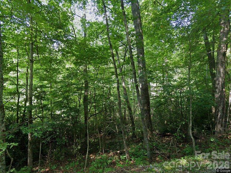 150 Ivy Road Newland, NC 28657 - Photo 1 of 1