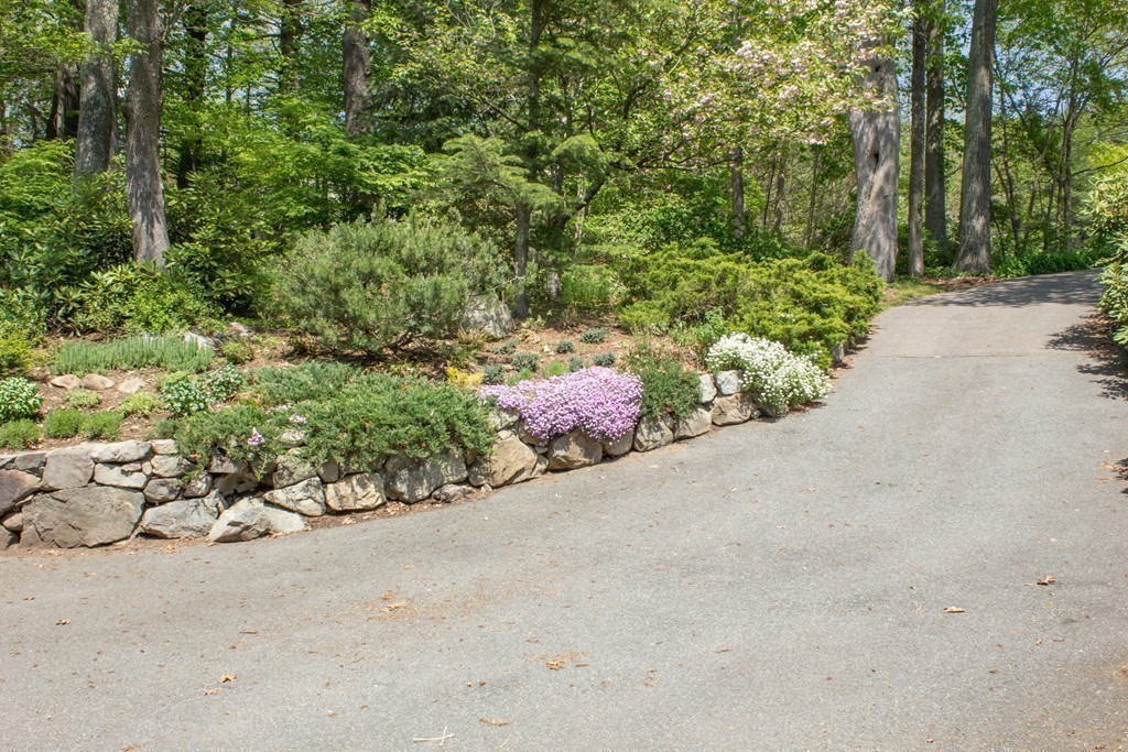 3 Noonhill Road Medfield, MA 02052 - Photo 26 of 30 Gallery Image 26