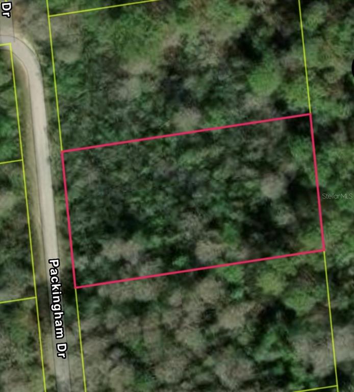 Packingham Drive Webster, FL 33597 - Photo 1 of 2 a view of a yard