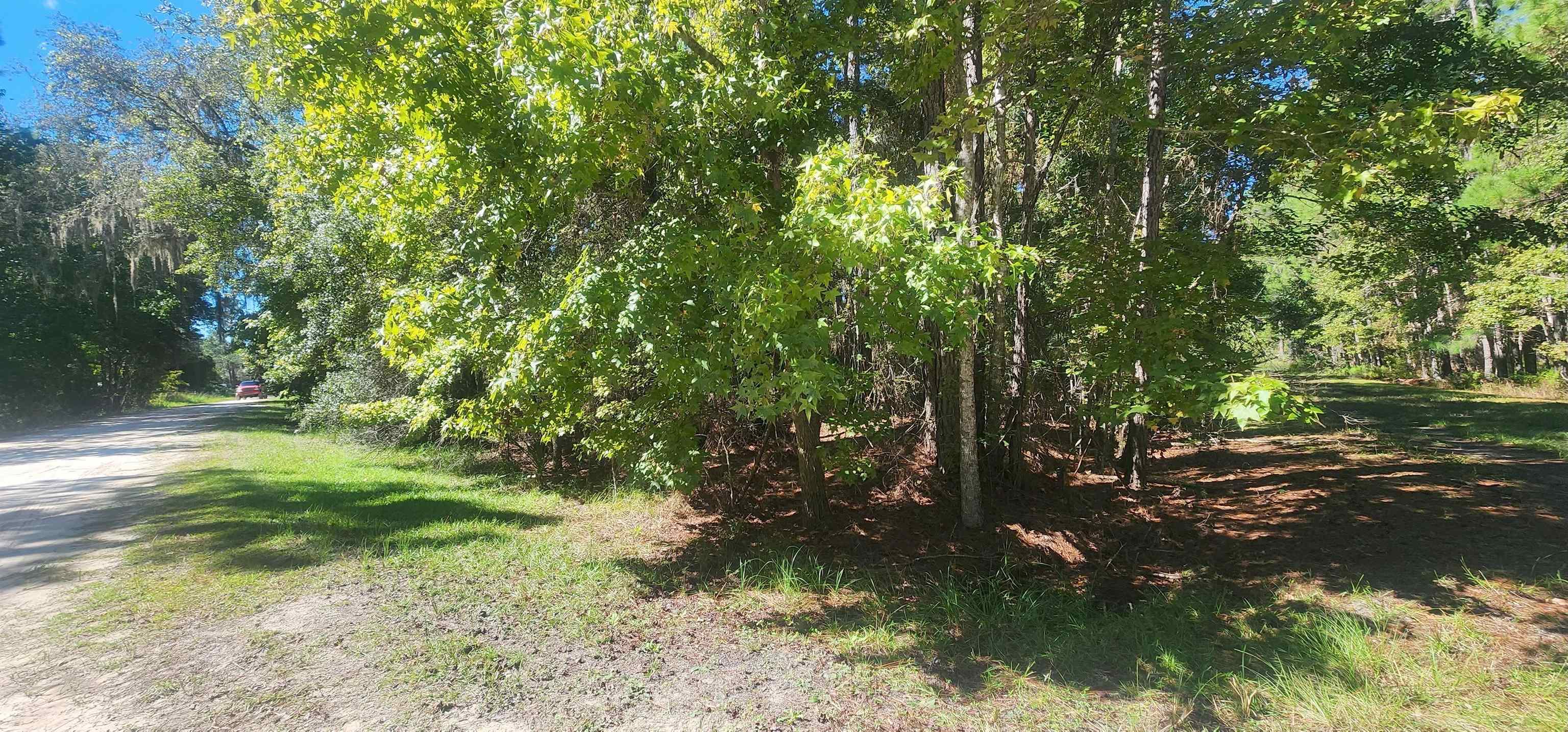 Tbd Helen Avenue Georgetown, FL 32139 - Photo 3 of 8 a view of outdoor space and yard