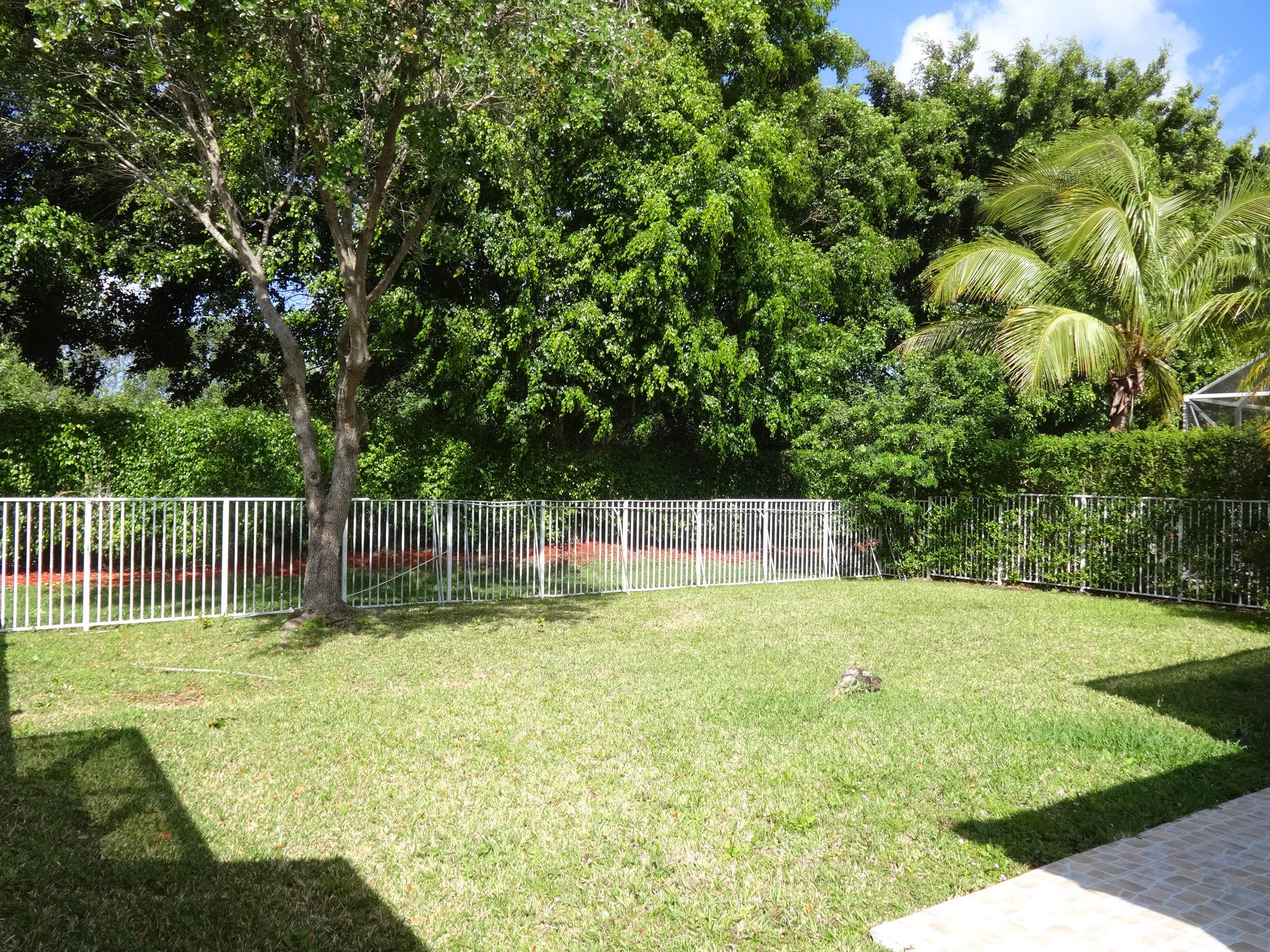 22047 Altona Drive Boca Raton, FL 33428 - Photo 2 of 23 lawn
