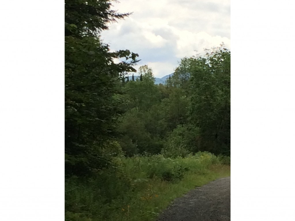 0 Bombard Road Concord, VT 05824 - Photo 1 of 5