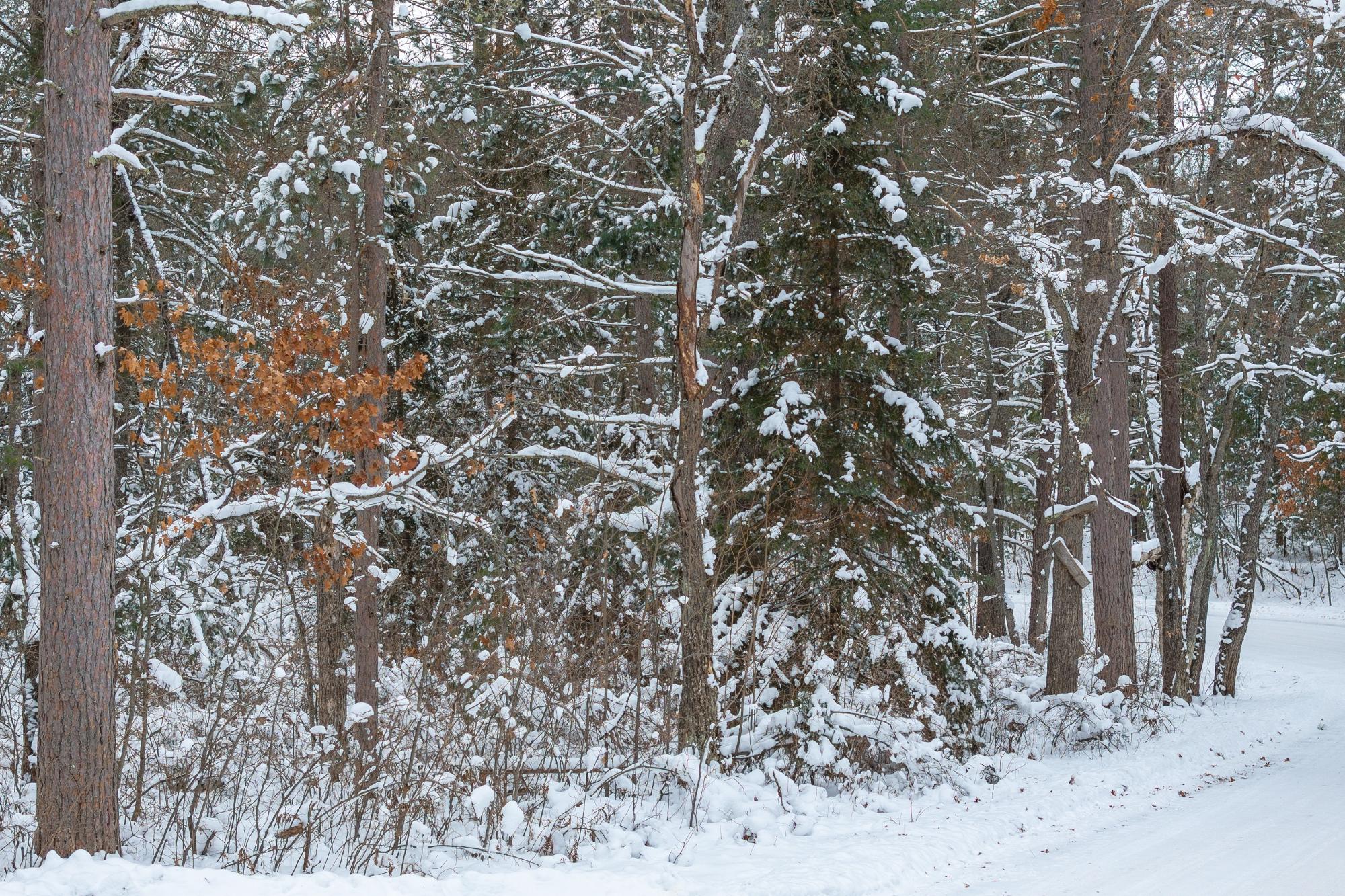 On Chickaree Lake Road, Unit LOT 3 Eagle River, WI 54521 - Photo 3 of 6 Gallery Image 3