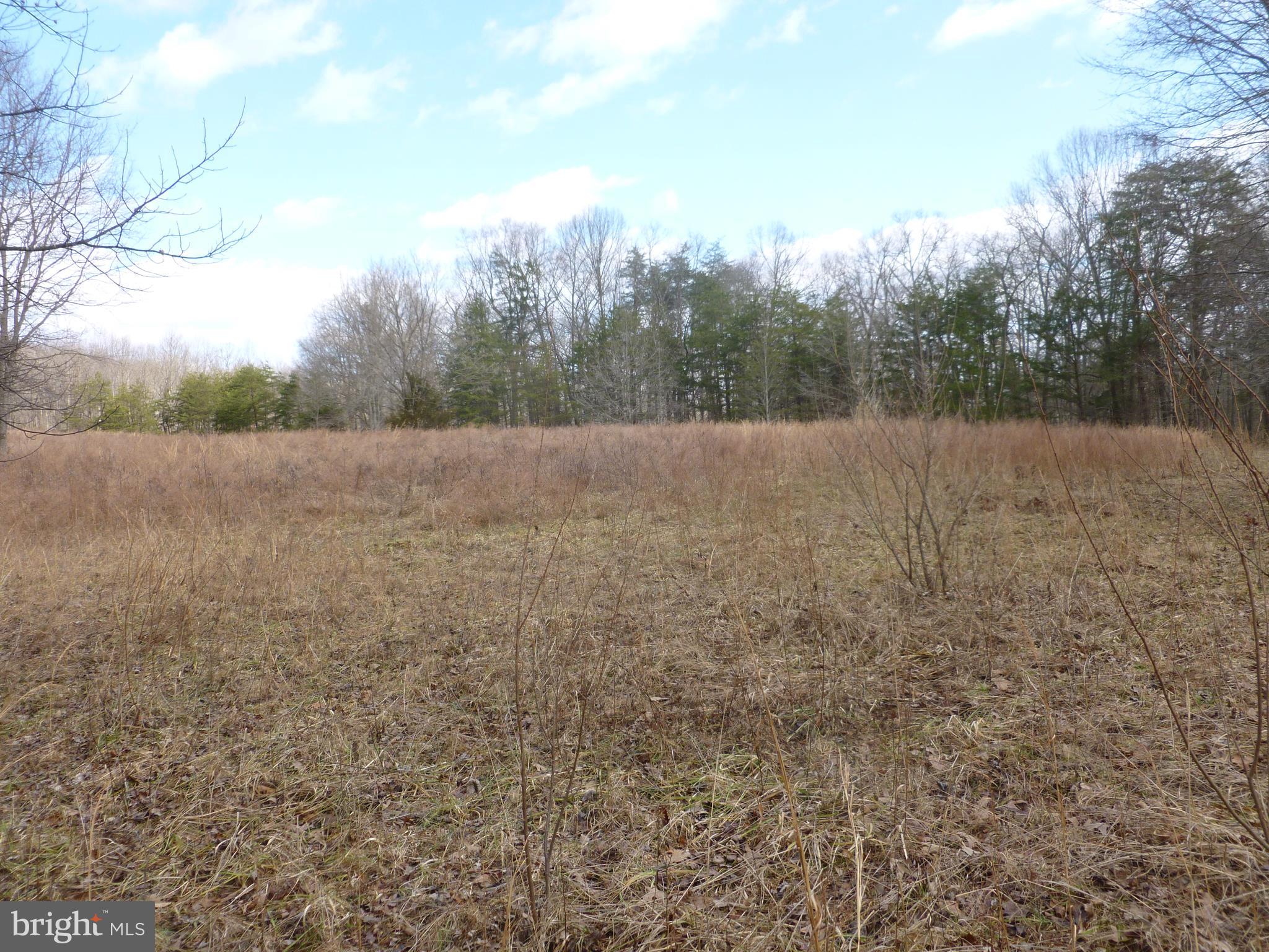 0 Deer Ridge Road Culpeper, VA 22701 - Photo 1 of 10 Great new home site on these 10 acres!