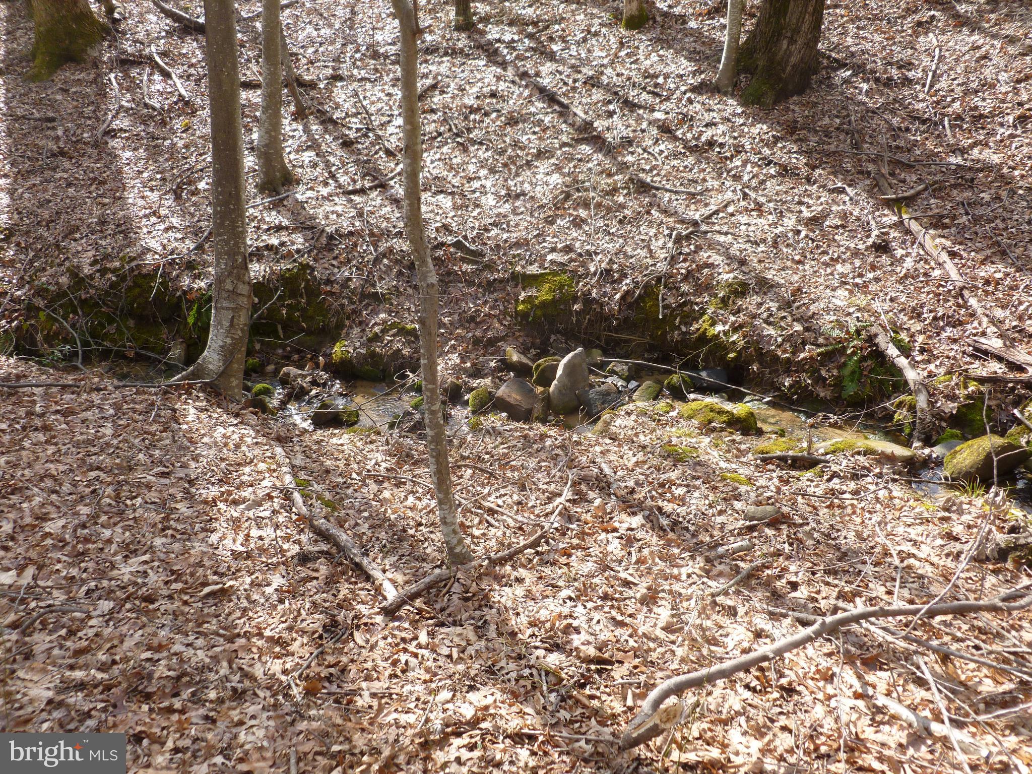 0 Deer Ridge Road Culpeper, VA 22701 - Photo 5 of 10 Spring fed stream