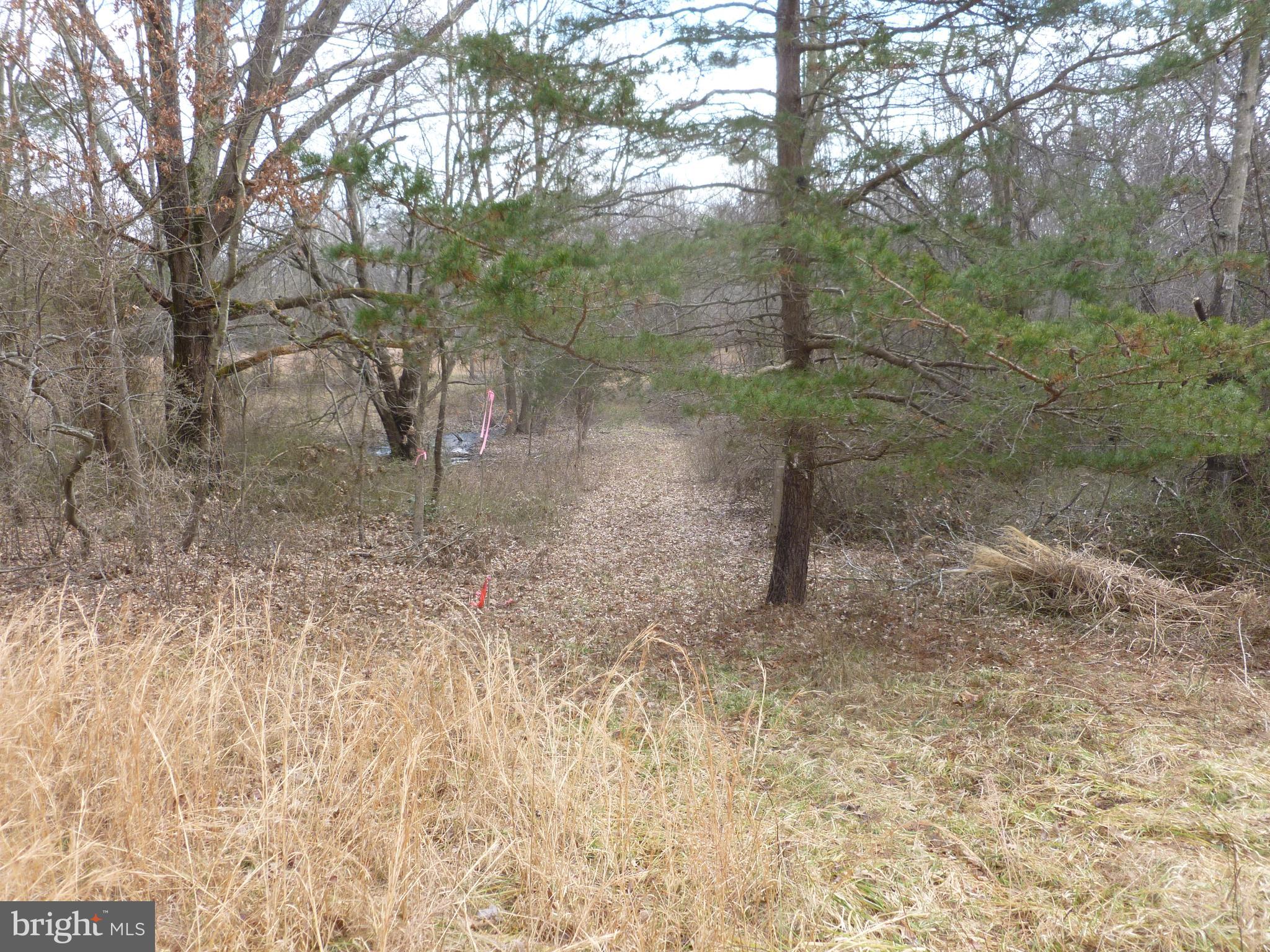 0 Deer Ridge Road Culpeper, VA 22701 - Photo 6 of 10 Interior of lot