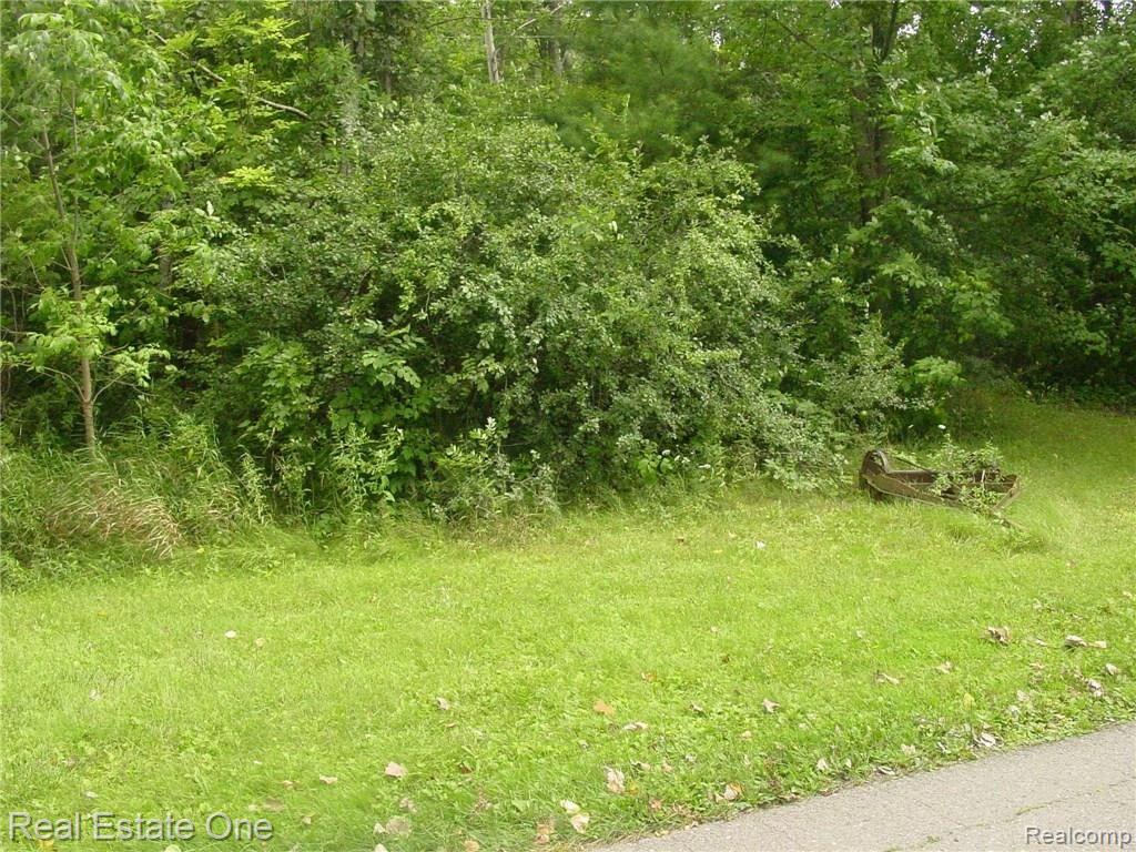 0 Mead Lane Rochester, MI 48306 - Photo 2 of 4