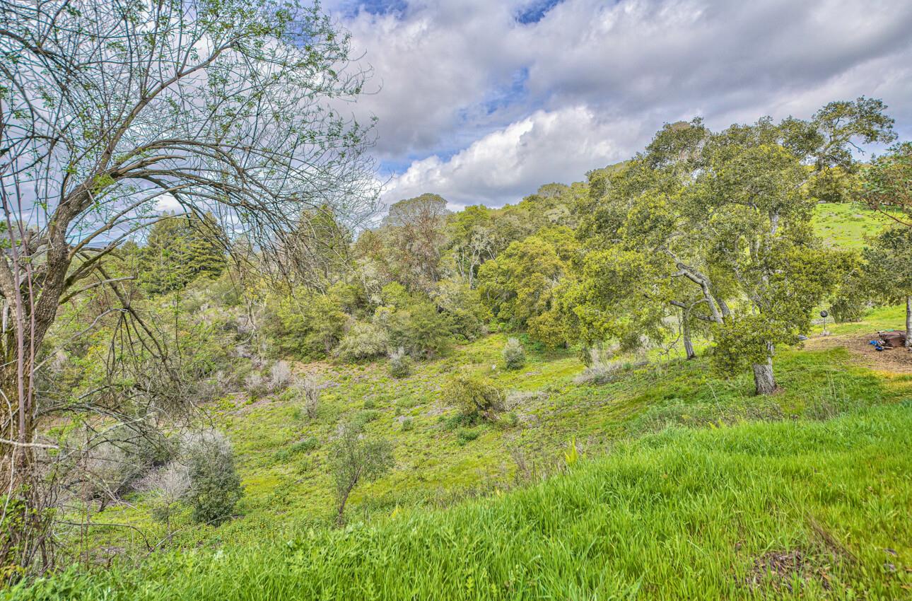 420 Yellowbrick Road Watsonville, CA 95076 - Photo 11 of 23 a view of a yard with a tree