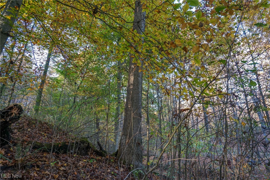 8662 Porter Run Road Roseville, OH 43777 - Photo 30 of 33 View of mother earth's splendor