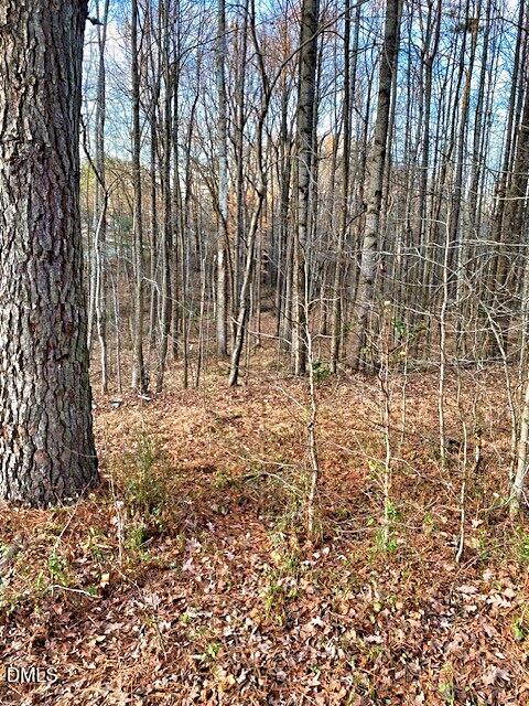 0 Gravitte Road Roxboro, NC 27573 - Photo 8 of 8 a view of empty room with large trees