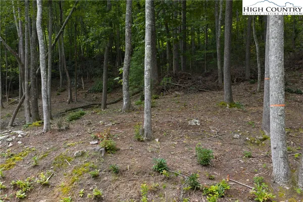 $140,000 | Lot 46 Wildcat Wilderness Parkway, Deep Gap, NC 28618