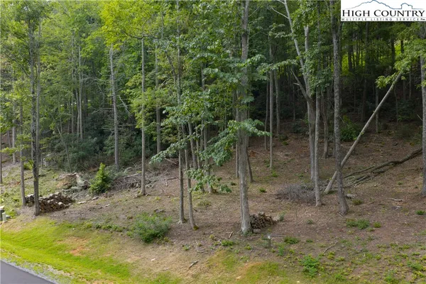 $140,000 | Lot 46 Wildcat Wilderness Parkway, Deep Gap, NC 28618