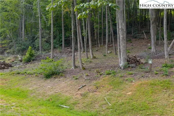 $140,000 | Lot 46 Wildcat Wilderness Parkway, Deep Gap, NC 28618