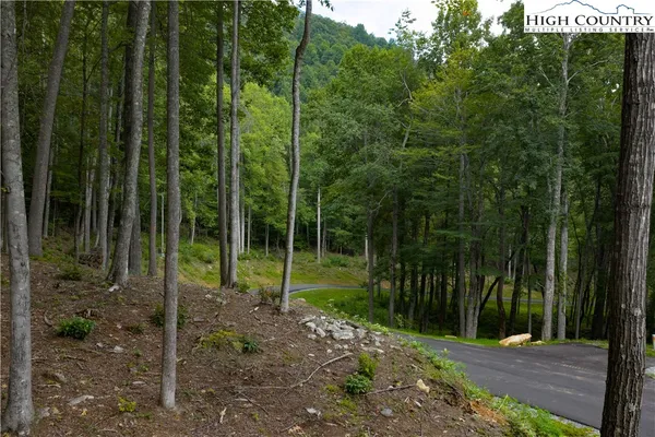 $140,000 | Lot 46 Wildcat Wilderness Parkway, Deep Gap, NC 28618