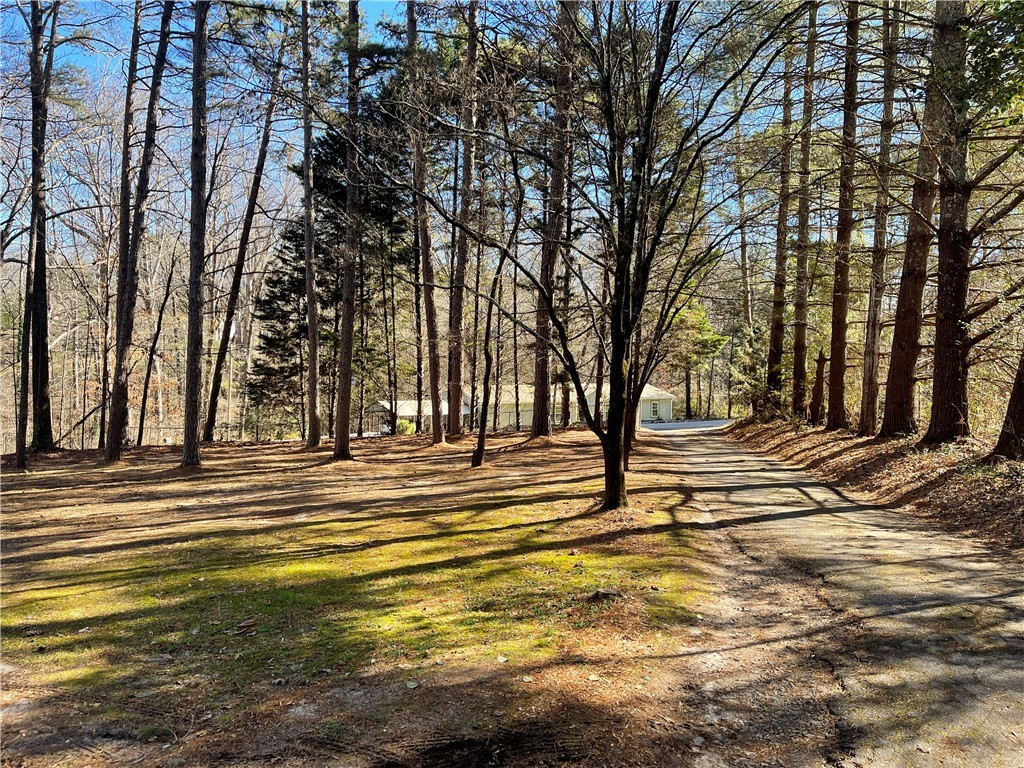 13011 Janda Road Seneca, SC 29672 - Photo 35 of 38 Driveway
