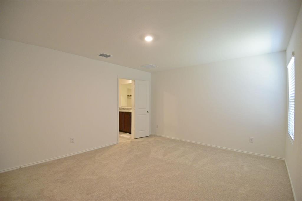 14133 Aberavon Drive Pilot Point, TX 76258 - Photo 15 of 18