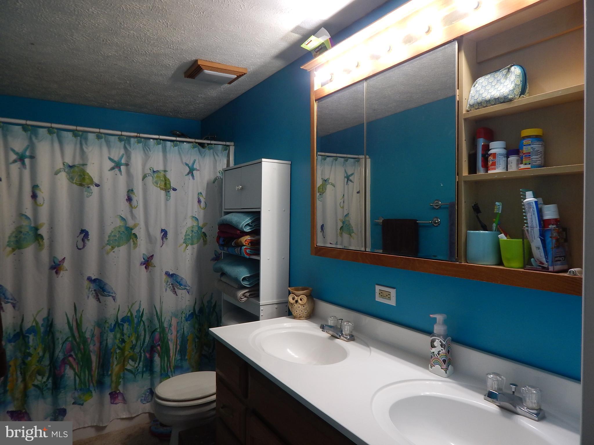 6285 Valley Road Berkeley Springs, WV 25411 - Photo 11 of 30 BATHROOM