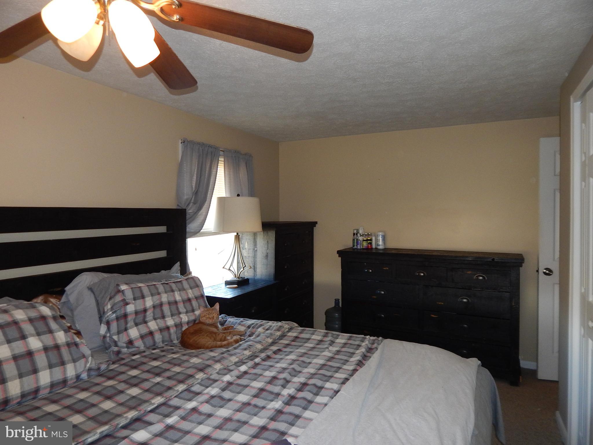 6285 Valley Road Berkeley Springs, WV 25411 - Photo 14 of 30 Main Bedroom